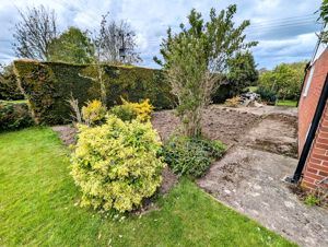 Photo 21- click for photo gallery